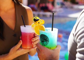 Cócteles refrescantes Apartamentos Coral Los Alisios Los Cristianos Cócteles refrescantes Apartamentos Coral Los Alisios Los Cristianos