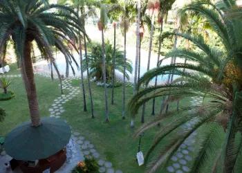 Jardines Apartamentos Coral Teide Mar Puerto de la Cruz Jardines Apartamentos Coral Teide Mar Puerto de la Cruz