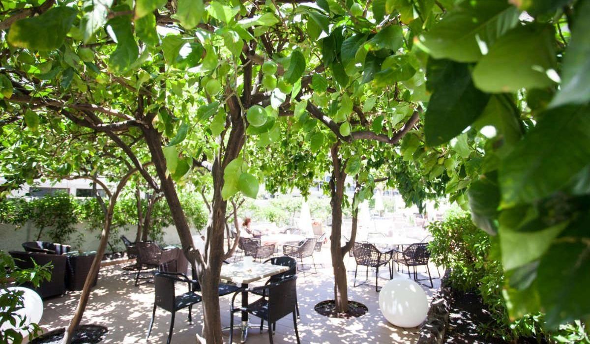 Jardín Apartamentos Coral California Playa de las Américas Jardín Apartamentos Coral California Playa de las Américas