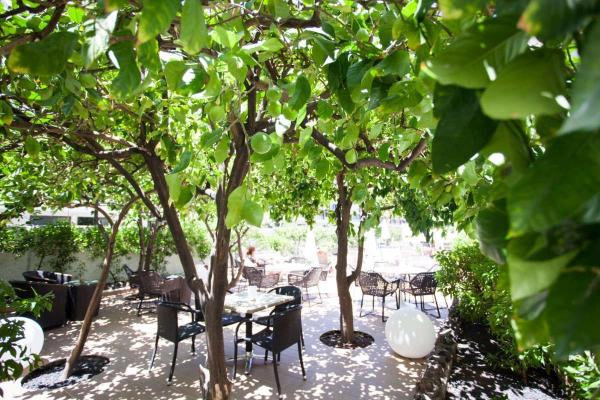 Jardín Apartamentos Coral California Playa de las Américas Jardín Apartamentos Coral California Playa de las Américas