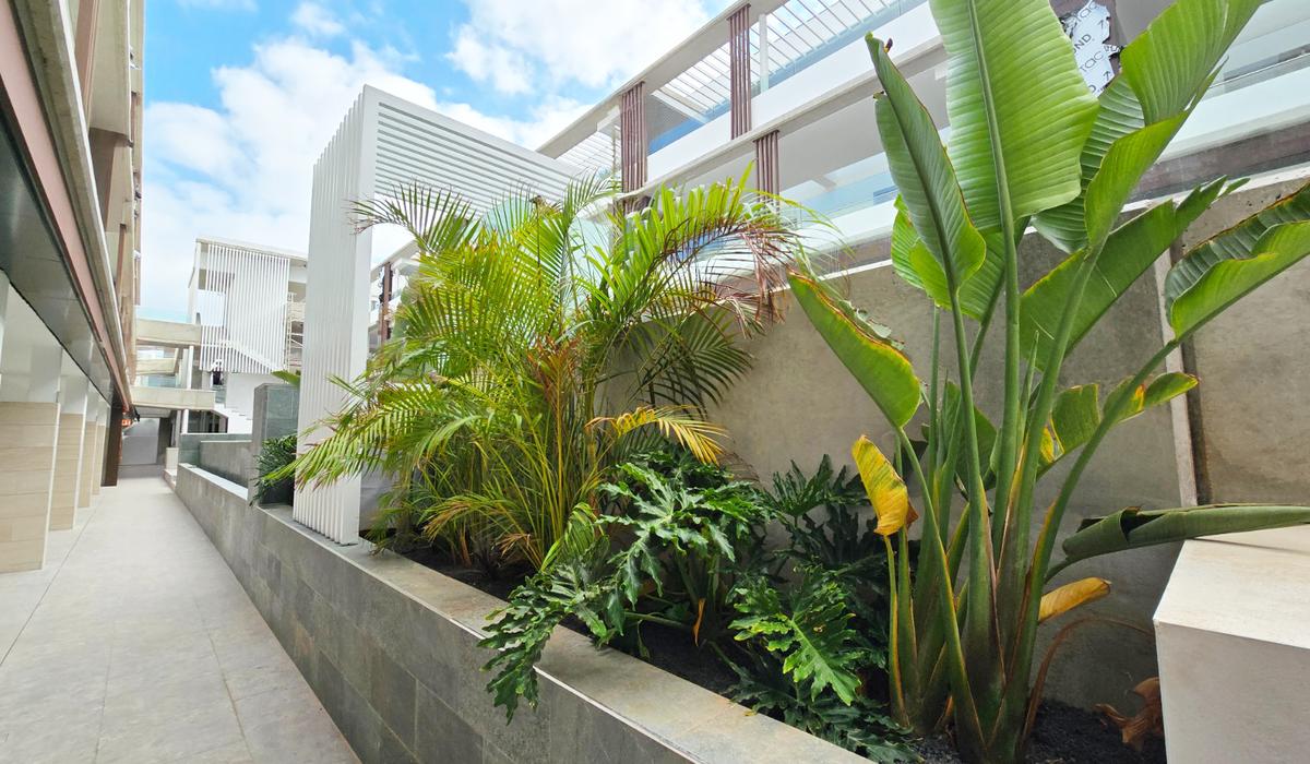 Hotel Coral Cotillo Reef El Cotillo Hotel Coral Cotillo Reef El Cotillo