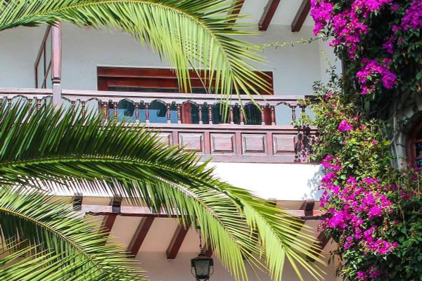 Jardín Apartamentos Coral Teide Mar Puerto de la Cruz Jardín Apartamentos Coral Teide Mar Puerto de la Cruz