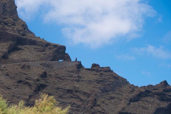 Actividades Apartamentos Coral Los Silos Actividades Apartamentos Coral Los Silos