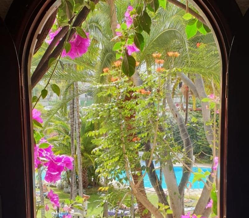 Ventana de Rapunzel Apartamentos Coral Teide Mar Puerto de la Cruz Ventana de Rapunzel Apartamentos Coral Teide Mar Puerto de la Cruz