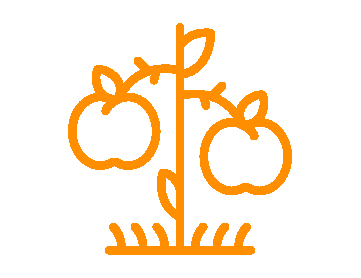 Jardines: Áreas verdes bien cuidadas que rodean el complejo. Apartamentos Coral La Quinta Park Suites Santa Ursula Jardines: Áreas verdes bien cuidadas que rodean el complejo. Apartamentos Coral La Quinta Park Suites Santa Ursula